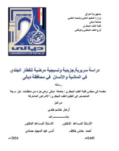 Read more about the article رسالة ماجستير أزهار هاشم / بعنوان: دراسة سريرية, جزيئية ونسيجية مرضية للفطار الجلدي في الماشية والانسان  في محافظة ديالى