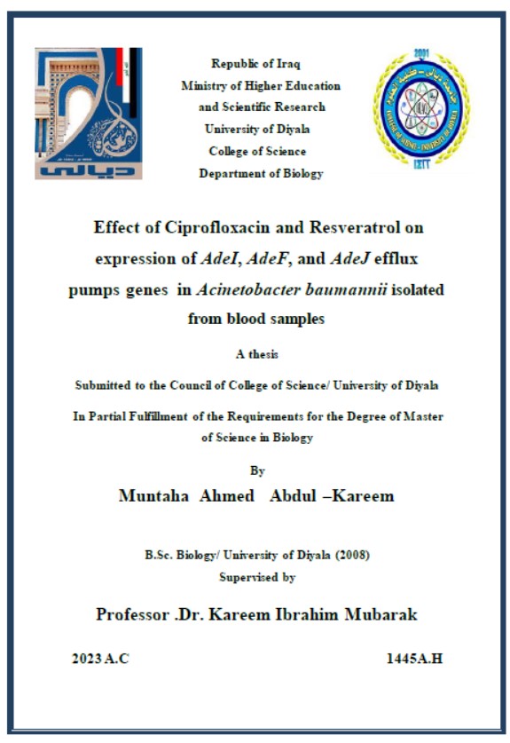 Read more about the article رسالة ماجستير منتهى احمد / بعنوان:Effect of Ciprofloxacin and Resveratrol on expression of AdeI, AdeF, and AdeJ efflux pumps genes  in Acinetobacter baumannii isolated from blood samples