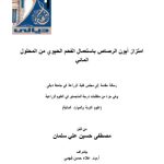 رسالة ماجستير مصطفى حسين / بعنوان : امتزاز أيون الرصاص باستعمال الفحم الحيوي من المحلول المائي