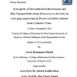 رسالة ماجستير سراب محمد / بعنوان: Synergistic of biosynthesized Bacteriocin and Zinc Nanoparticles from Enterococcus faecium on rsbA gene expression in Proteus mirabilis isolated from Catheter Urine