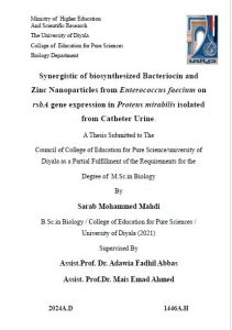 رسالة ماجستير سراب محمد / بعنوان: Synergistic of biosynthesized Bacteriocin and Zinc Nanoparticles from Enterococcus faecium on rsbA gene expression in Proteus mirabilis isolated from Catheter Urine