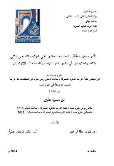 Read more about the article أطروحة دكتوراه أمل محمود / بعنوان: تأثير بعض العقاقير المضادة للسكري على التركيب النسجي للكلى والكبد والبنكرياس في ذكور الجرذ الابيض المستحث بالالوكسان