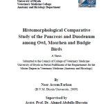 رسالة ماجستير نور عاصم / بعنوان: Histomorphological Comparative Study of the Pancreas and Duodenum among Owl, Moorhen and Budgie Birds