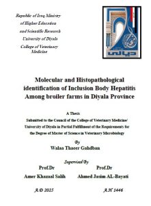 Read more about the article رسالة ماجستير ولاء ثائر / بعنوان: Molecular and Histopathological identification of Inclusion Body Hepatitis Among broiler farms in Diyala Province