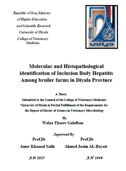 Read more about the article رسالة ماجستير ولاء ثائر / بعنوان: Molecular and Histopathological identification of Inclusion Body Hepatitis Among broiler farms in Diyala Province