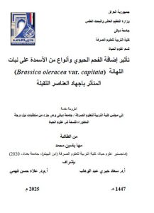 Read more about the article أطروحة دكتوراه مها ياسين / بعنوان:تأثير إضافة الفحم الحيوي وأنواع من الأسمدة على نبات اللهانة  (Brassica oleracea var. capitata) المتأثر باجهاد العناصر الثقيلة