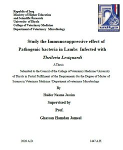 رسالة ماجستير حيدر نعمة بعنوان / Study the Immunosuppressive effect of Pathogenic bacteria in Lambs  Infected with Theileria Lestquardi