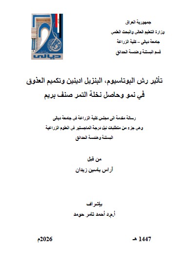 Read more about the article رسالة ماجستير آراس حسين / بعنوان: تأثير رش البوتاسيوم، البنزيل ادينين وتكميم العذوق في نمو وحاصل نخلة التمر صنف بريم